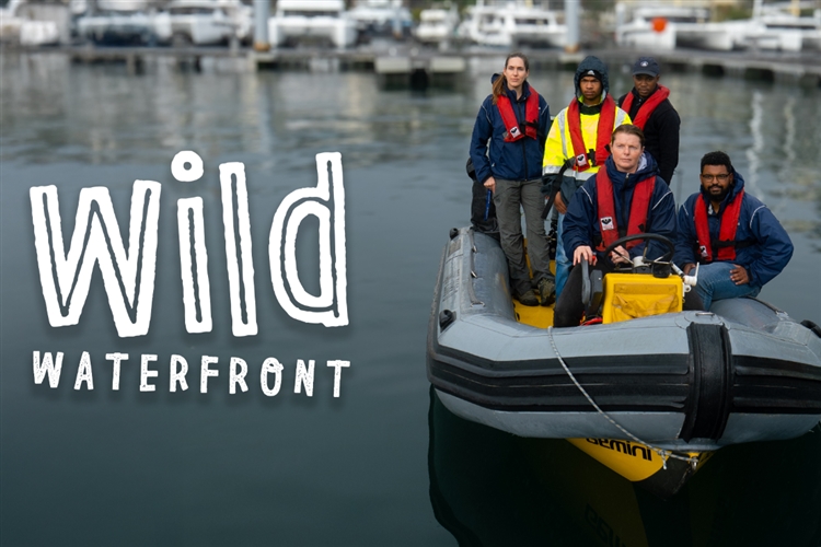 WILD WATERFRONT (PG 13)